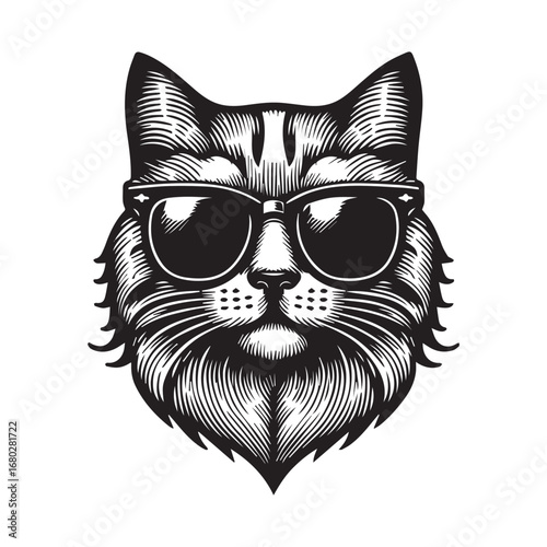 black cat on a white background