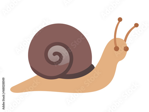 snail