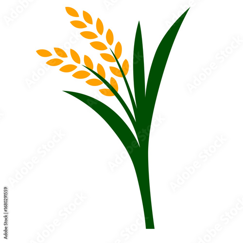 Vector illustration of rice plant with golden grains, representing farming, agriculture, organic harvest, and healthy food production.