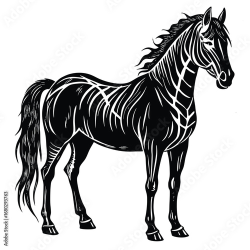 black horse vector illustration