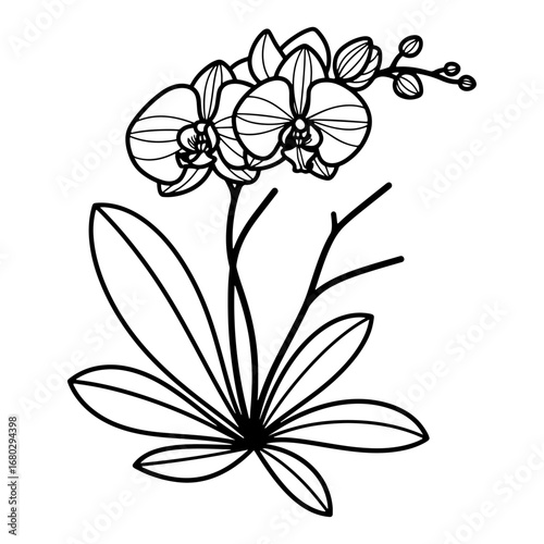 Vector line art of orchid flowers, which is a perfect and versatile creative art resource for use in tattoo designs, stickers, postcards, blog illustrations, and packaging designs.