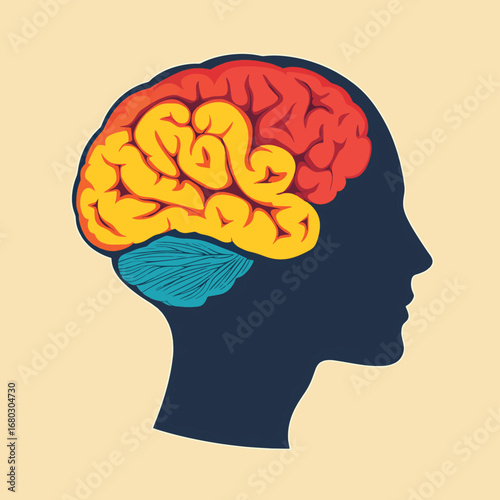 Areas of the brain and head. Symbol. Vector illustration