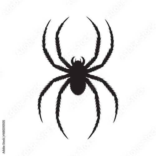 spider on a white background