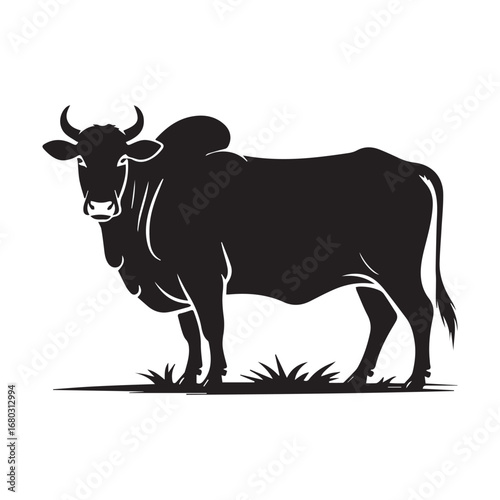 Silhouette of indian cow 