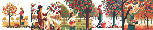 Harvesting fruit. Set of icons, vectors, and illustrations