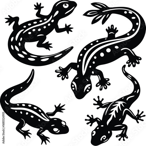 vector image of a lizard