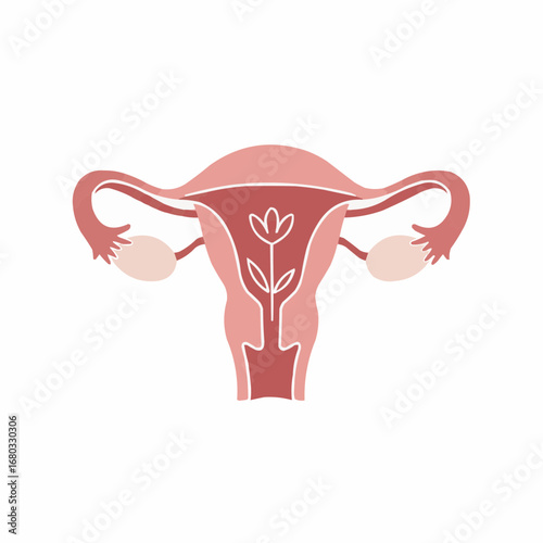 Diagram of a female reproductive system, highlighting key organs.