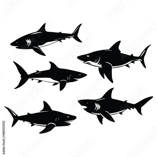 shark vector design illustration.