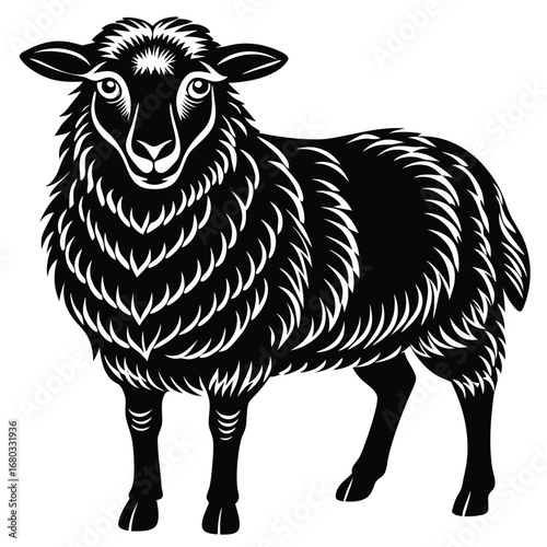sheep on black background