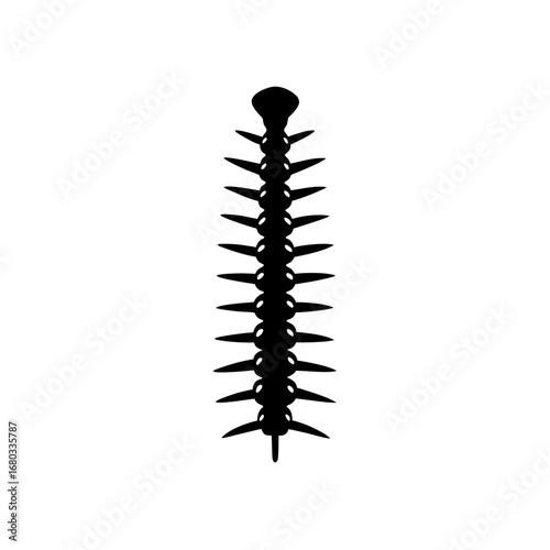 spine with needles  vector silhouette  