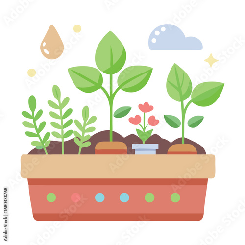 Vital Needs Plant Plants Need Sunlight