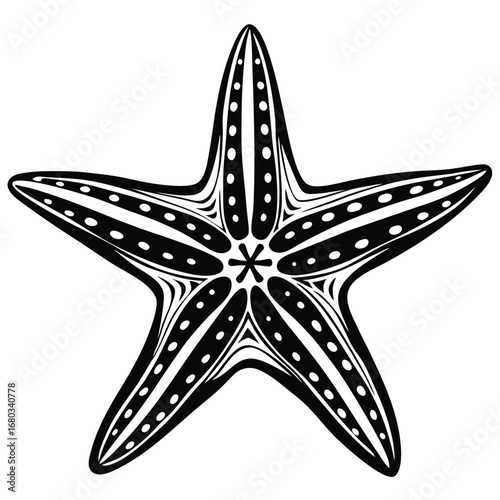 starfish on black background