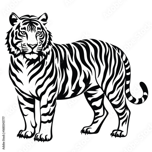 vector illustration of a tiger