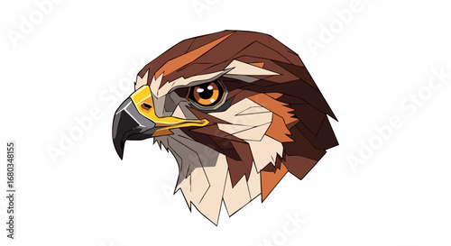 Detailed illustration of a majestic falcon head with sharp eyes and a powerful beak.