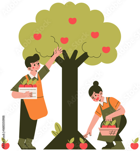 Farmer Harvesting Apple Fruit