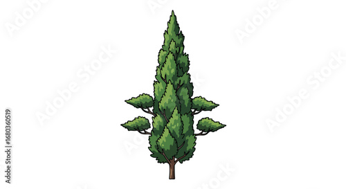 Stylized arborvitae illustration showcases unique branching with soft shadows and crisp linework, a whimsical representation of evergreen foliage