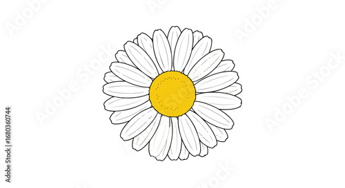 Digitally crafted illustration of a daisy flower with defined petals against a pure white setting