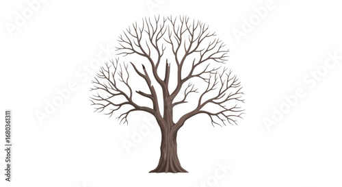 Stylized stark tree with bare branches against a pristine white background offering a minimalist design element with a natural aesthetic illustration