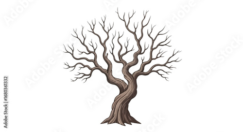 Illustration of a bare tree with intricate branching patterns against a clean white background for design use