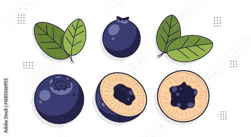 Vibrant Illustration Showing Fresh Blueberries, Leaves, and A Cut-Open Display