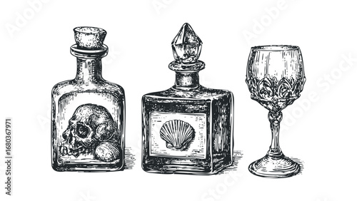 Antique glassware and bottled skull with seashell detail on transparent background. Vector hand drawn illustration