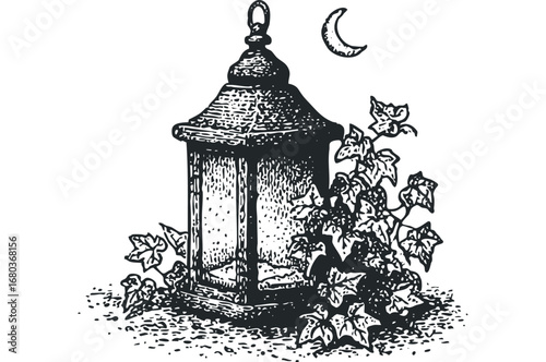 Vintage lantern with moon and ivy. Vector hand drawn illustration