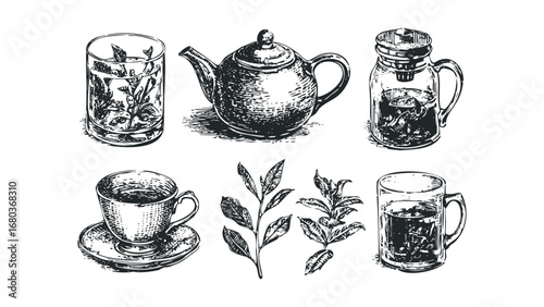 Ink drawing collection of teapot, teacups, and tea leaves on transparent background. Vector hand drawn illustration