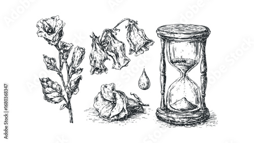 Vintage Hand Drawn Elements of Wilting Flowers and Hourglass. Vector hand drawn illustration