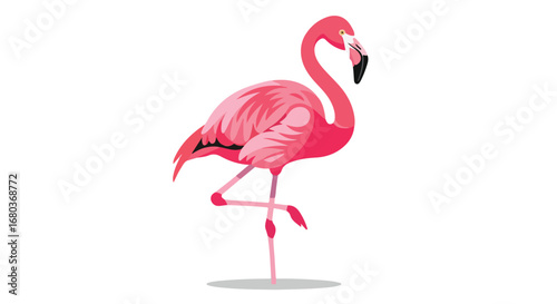 Elegant pink flamingo in a striking pose, a whimsical illustration of a tropical bird showcasing its vibrant plumage and distinctive silhouette