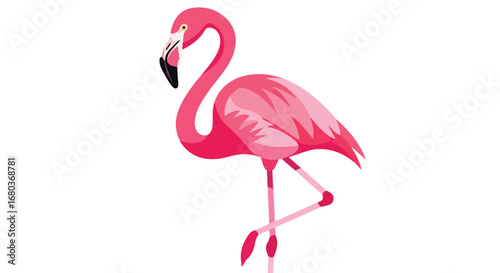 Vibrant flamingo illustration with sleek design on a clean background perfect for graphics and vector design, showcases graceful lines and modern