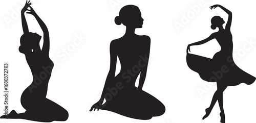 Female Silhouette Vector Illustration

Elegant Woman Silhouette Design

Modern Female Outline Graphic