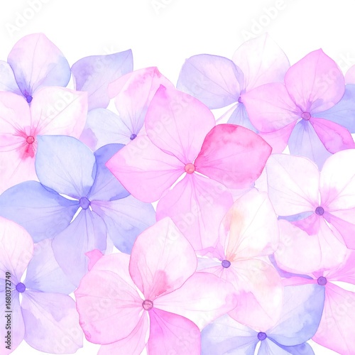 Delicate pastel hydrangea blossoms