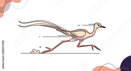 Fast running bird with long tail and legs moving quickly across a white background with abstract shapes
