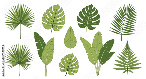 Tropical Foliage Variety: Hand-Drawn Botanical Collection of Exotic Leaves Depicting Natural Greenery and Lush Vegetation, Isolated on White Backdrop