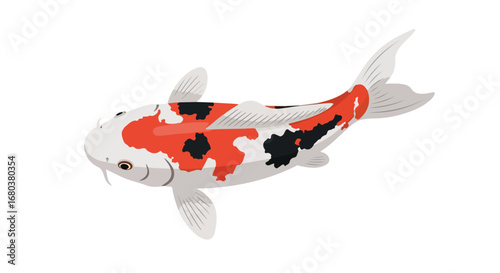 Artistic depiction of a swimming koi fish with vibrant red and black markings on a white background, a delightful animal illustration