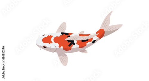 Stylized koi fish illustration with vibrant orange and black markings, against a minimalist white backdrop, enhancing the clarity of its details