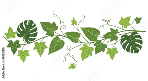 Lush green foliage illustration featuring delicate vines and vibrant leaves suitable for botanical designs, invitations, and organic themed projects