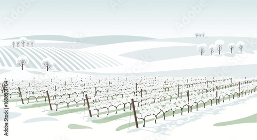 Snowy Vineyard Landscape Depicting Winter Scene With Rolling Hills And Frozen Vines