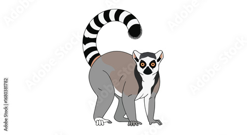 Cartoon ring-tailed lemur illustration standing with a curled striped tail and expressive eyes on a white background