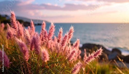  beautiful and tranquil scene of pink foxtail grass swaying gently on a rocky coast, set against a stunning sunset over the ocean. The soft, warm light and serene landscape