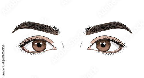 Expressive pair of eyes with detailed lashes and bold eyebrows showcase beauty aesthetics and eye makeup enhancement techniques