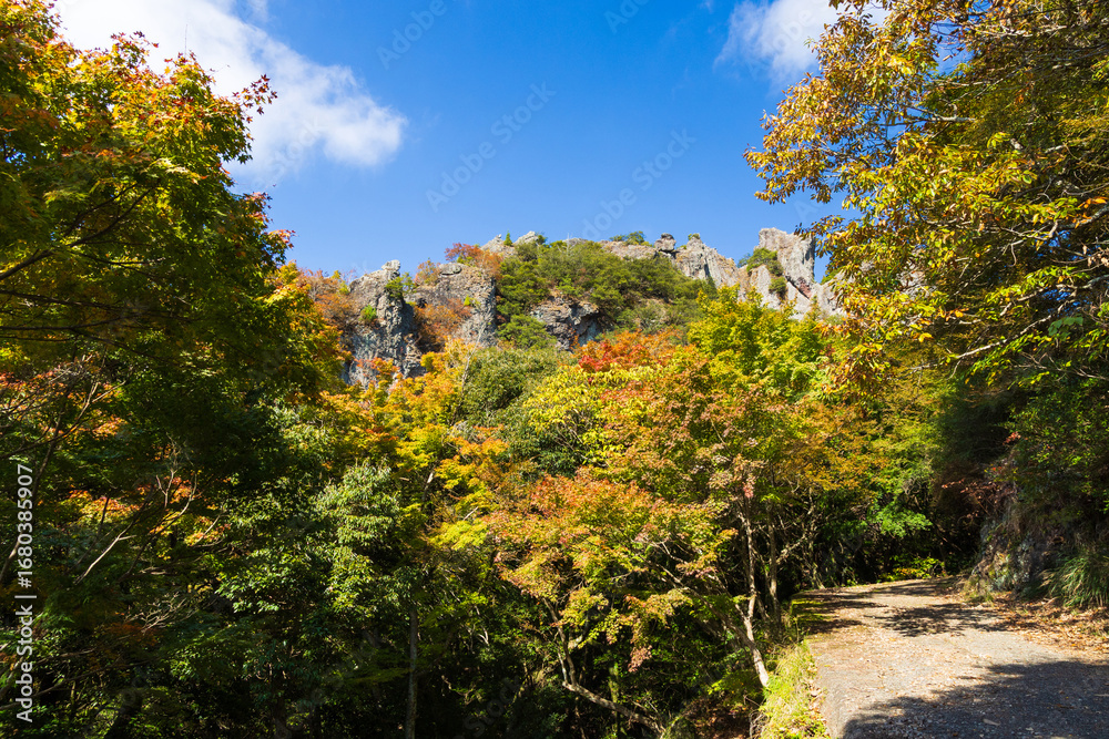 Naklejka premium 日本の風景・秋 香川県小豆島 紅葉の寒霞渓 錦屏風(表十二景)