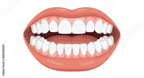 Cartoon Depiction of Healthy Mouth Structure Displaying Full Set of Pearly White Teeth in Open Position