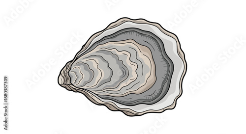 Detailed vector illustration showcasing an oyster shell with intricate layering and subtle color gradation highlighting its natural texture and form
