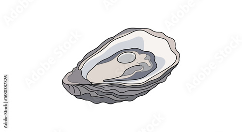 Stylized illustration of an opened oyster shell, showcasing the pearl in monochrome palette, isolated on a white background