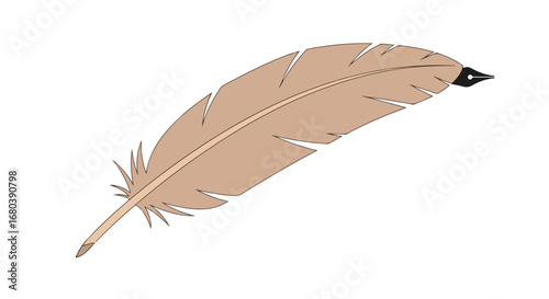 Vintage Writing Tool: A Quill Pen Illustration Symbolizing Creative Writing and Artistic Expression for Historical Manuscripts