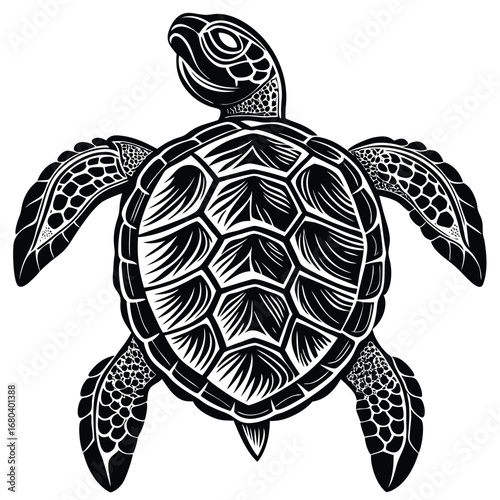 turtle vector illustration
