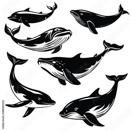 vector illustration of a fish