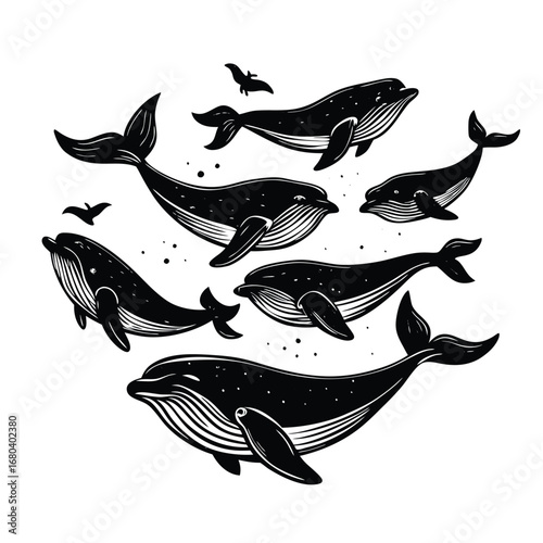 vector illustration of a fish