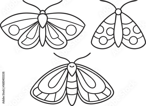 Minimalist line art of three moths and butterflies, ideal for naturethemed designs and decorative projects